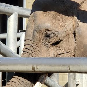 Meet your Posher, Connie